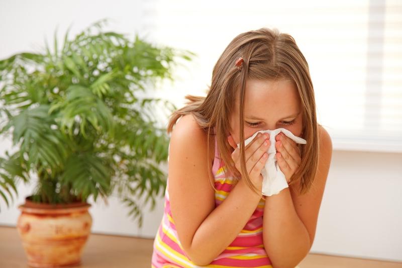 Сезонная аллергия и методы ее лечения