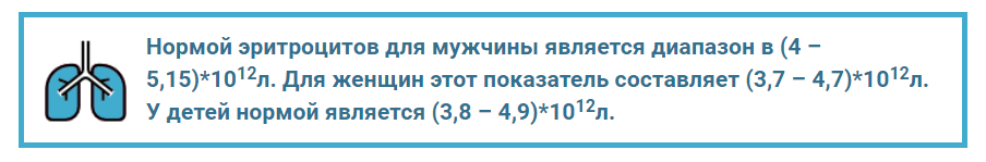 Анализ крови при бронхите — расшифровка