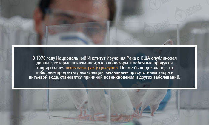 Побочные продукты хлорирования вызывают рак у грызунов и не только