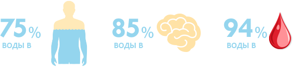 95 процентов воды