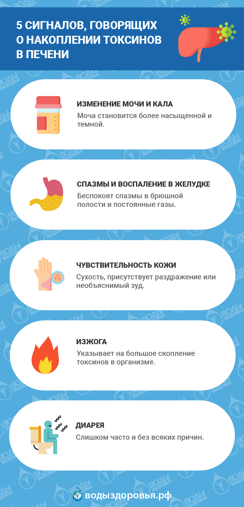 5 сигналов, говорящих о накоплении токсинов в печени 5 сигналов, говорящих о накоплении токсинов в печени