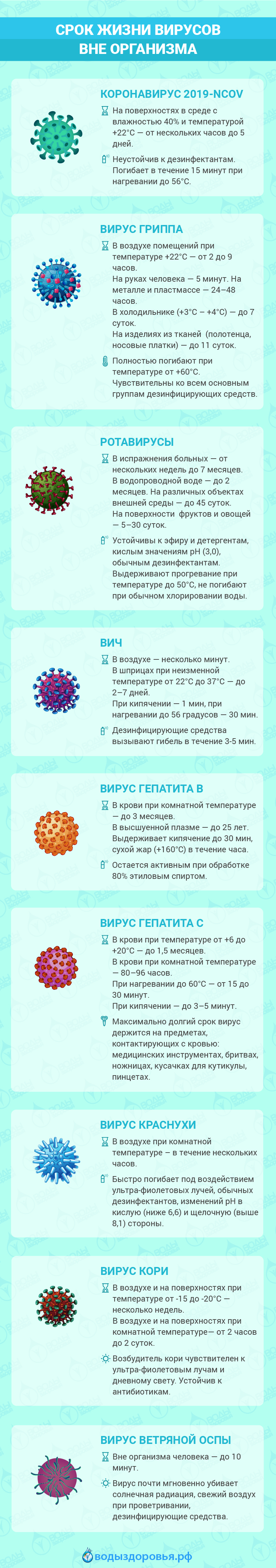 Срок жизни вирусов вне организма