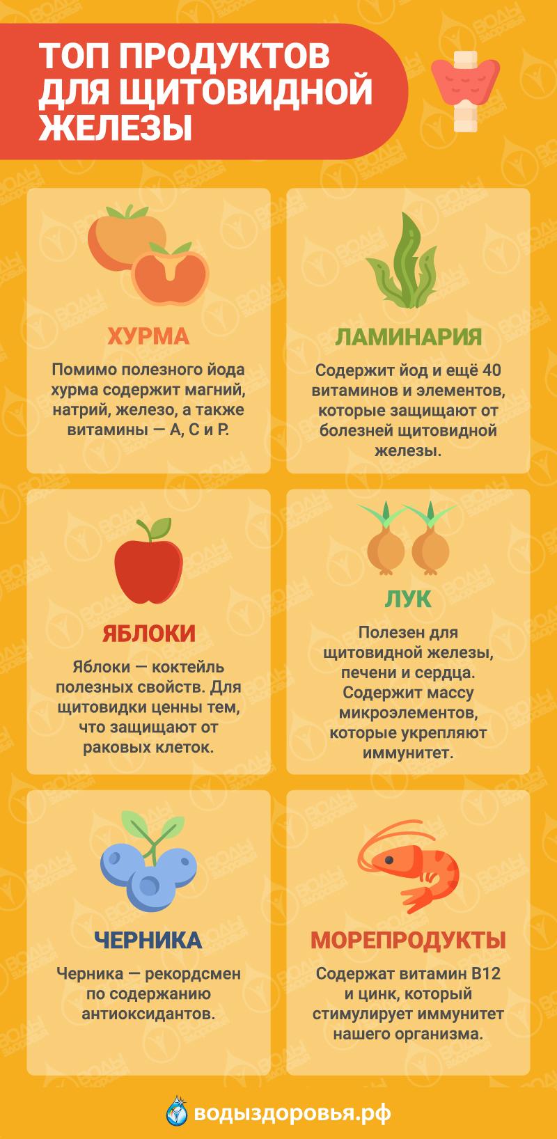 ТОП продуктов для щитовидной железы