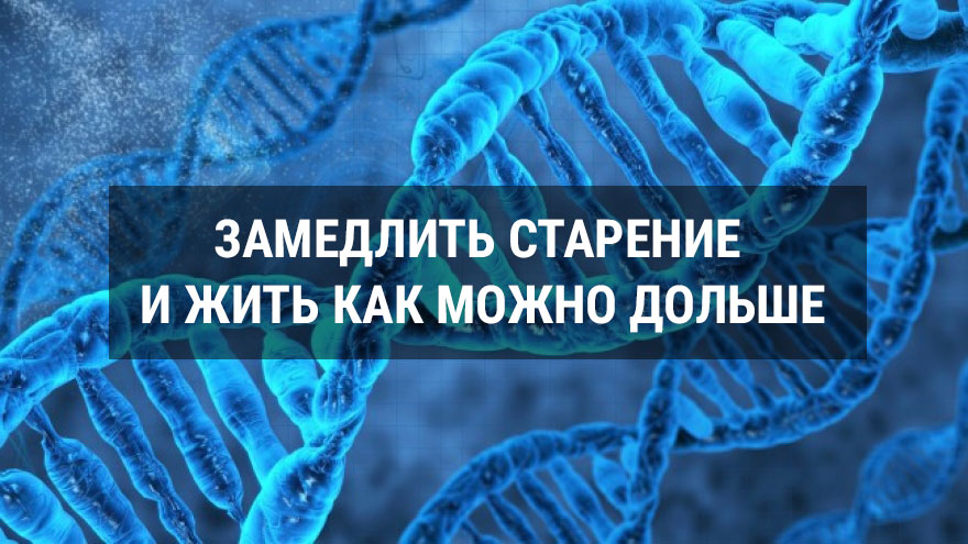 Замедлить старение и жить как можно дольше