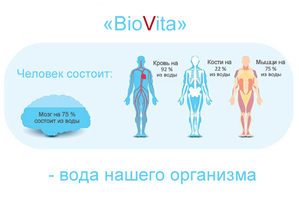 Чем полезна структурированная вода BioVita? Чем полезна структурированная вода BioVita?