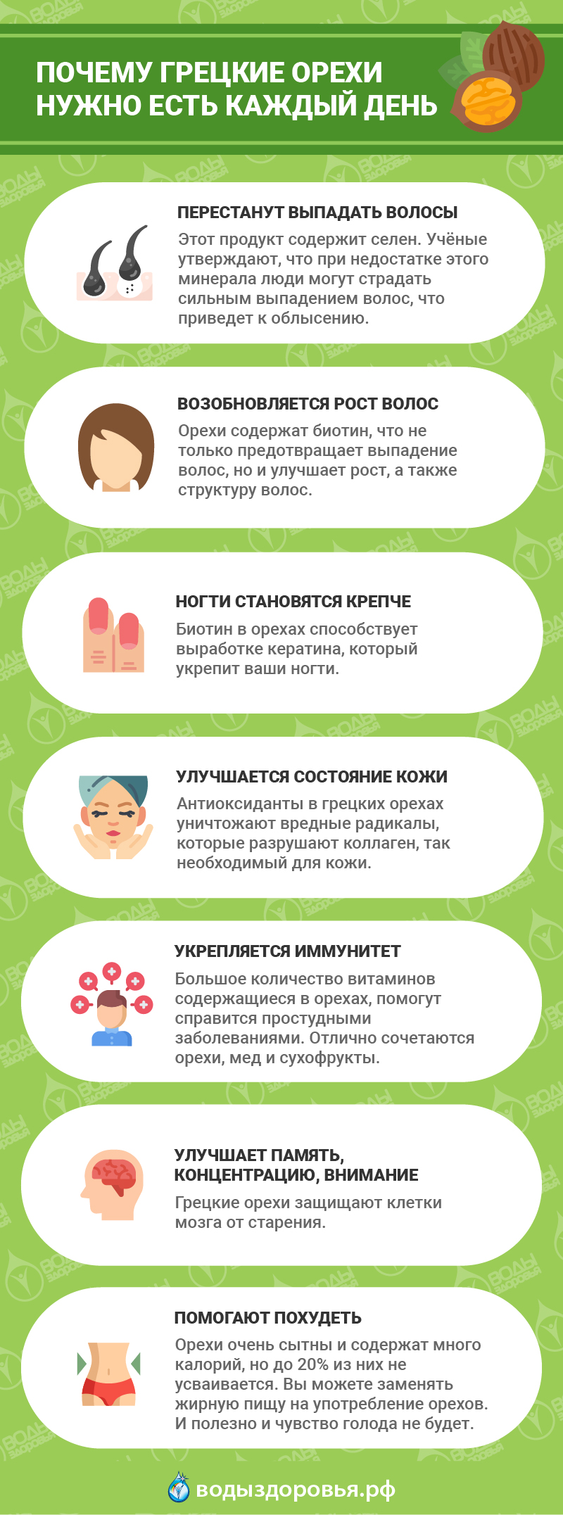 Почему грецкие орехи нужно есть каждый день Почему грецкие орехи нужно есть каждый день