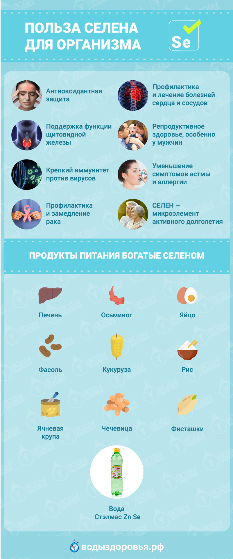 Селен — микроэлемент долголетия Селен — микроэлемент долголетия