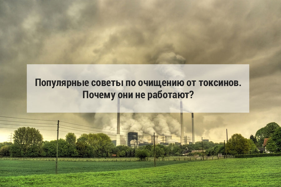 Популярные советы по очищению от токсинов. Почему они не работают?