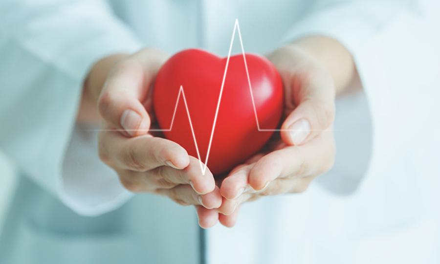 Сердечно-сосудистые заболевания: причины и профилактика