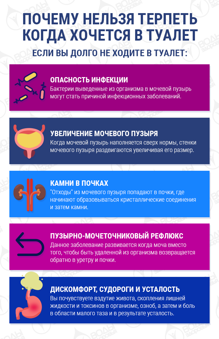 Почему нельзя терпеть, когда хочется в туалет