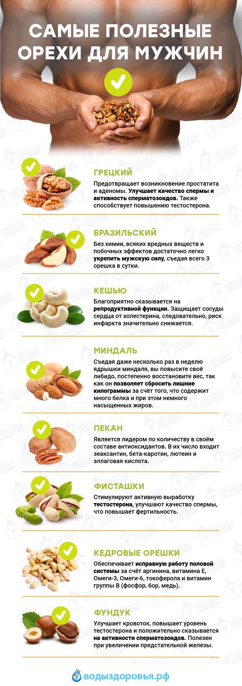 Самые полезные орехи для мужчин Самые полезные орехи для мужчин