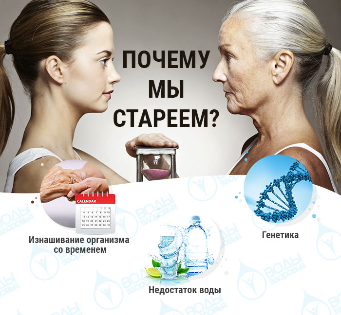 Почему мы стареем? Почему мы стареем?