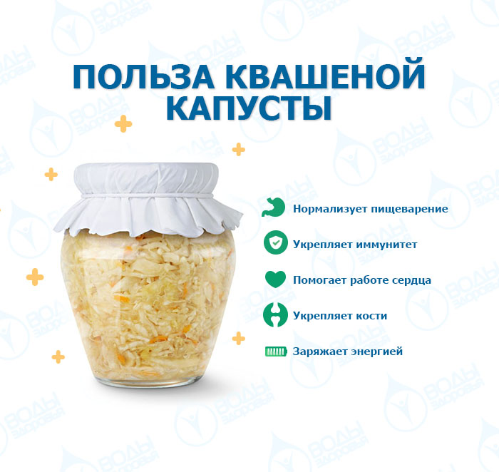 Улучшаем пищеварение квашеной капустой