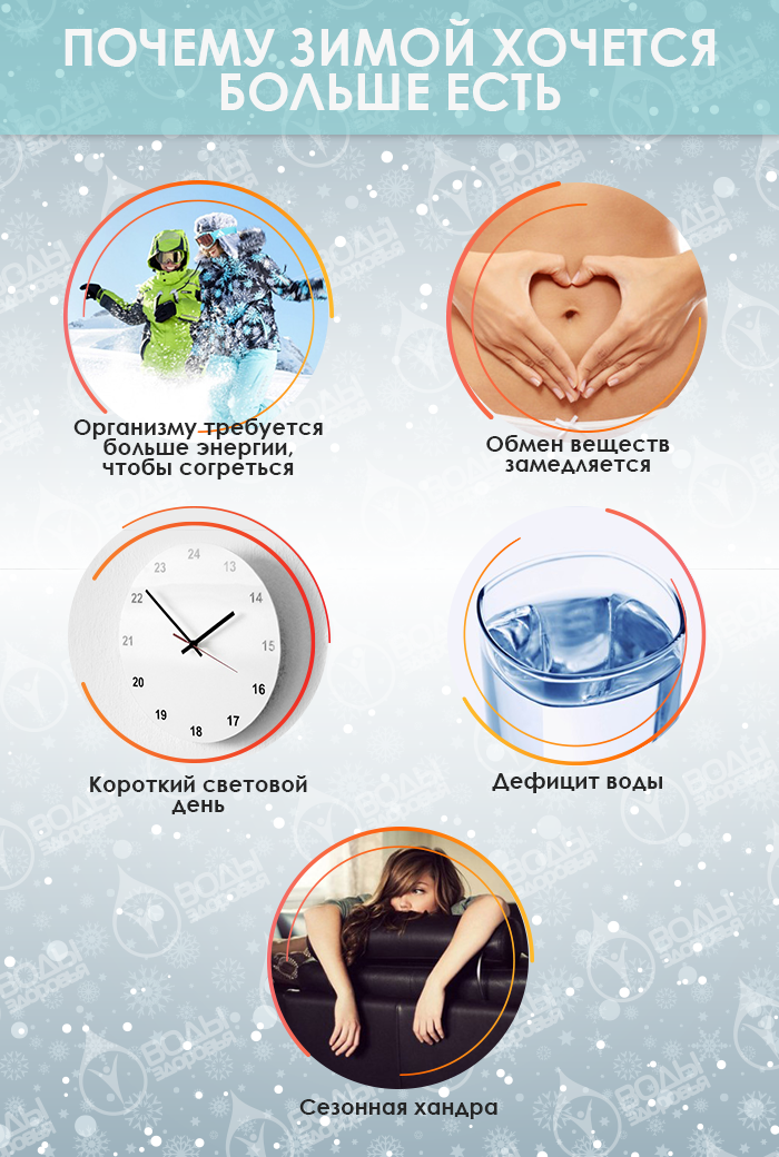 Почему зимой хочется больше есть Почему зимой хочется больше есть