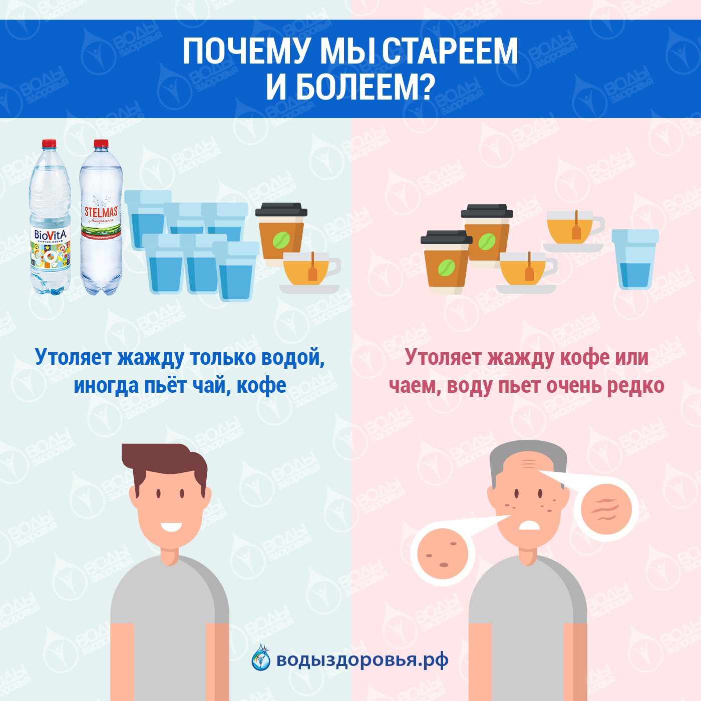 Почему мы стареем и болеем