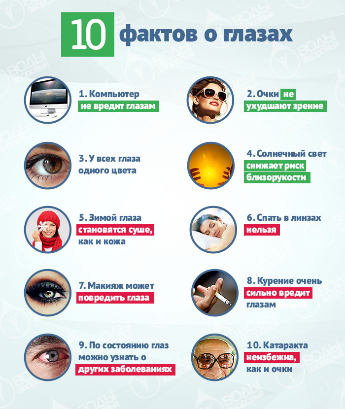 10 фактов о глазах и как сохранить зрение