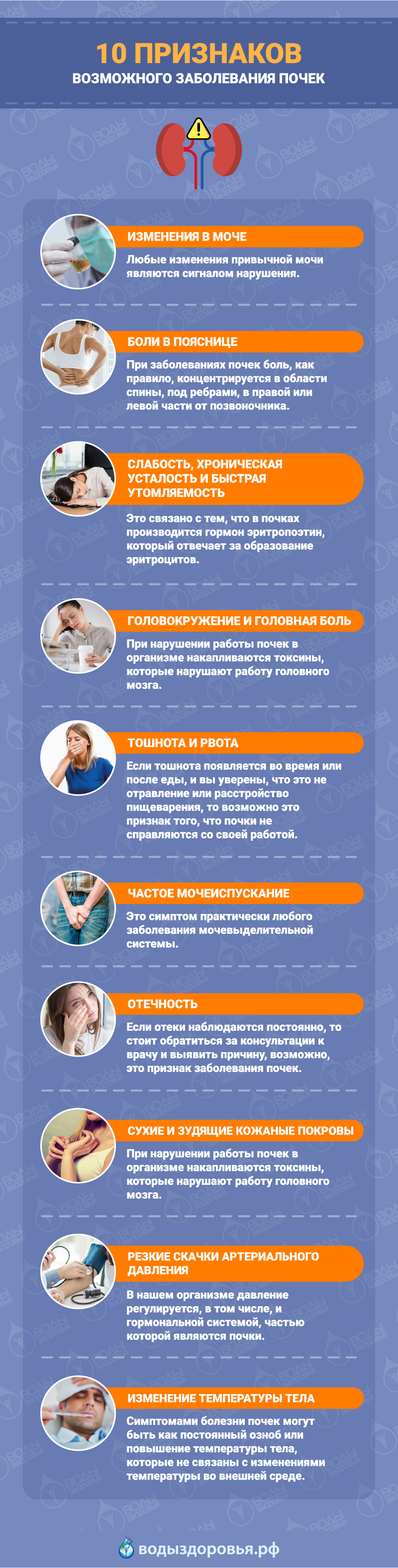 10 признаков возможного заболевания почек 10 признаков возможного заболевания почек