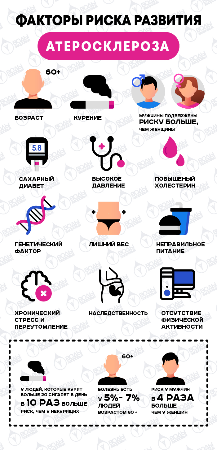 Факторы риска развития атеросклероза Факторы риска развития атеросклероза