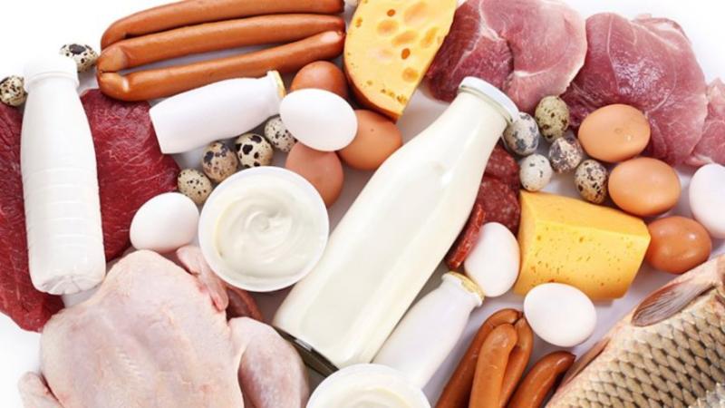 Польза белков: в каких продуктах его больше всего? Польза белков: в каких продуктах его больше всего?