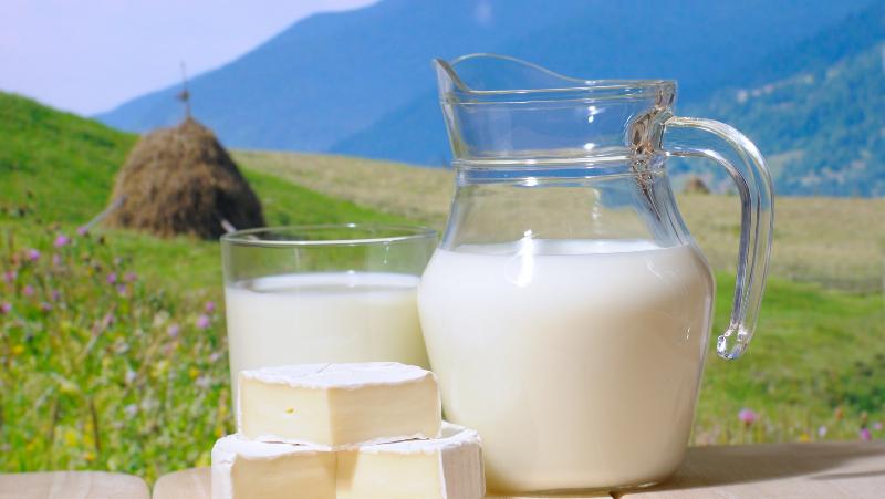 Стоит ли отказываться от молочных продуктов