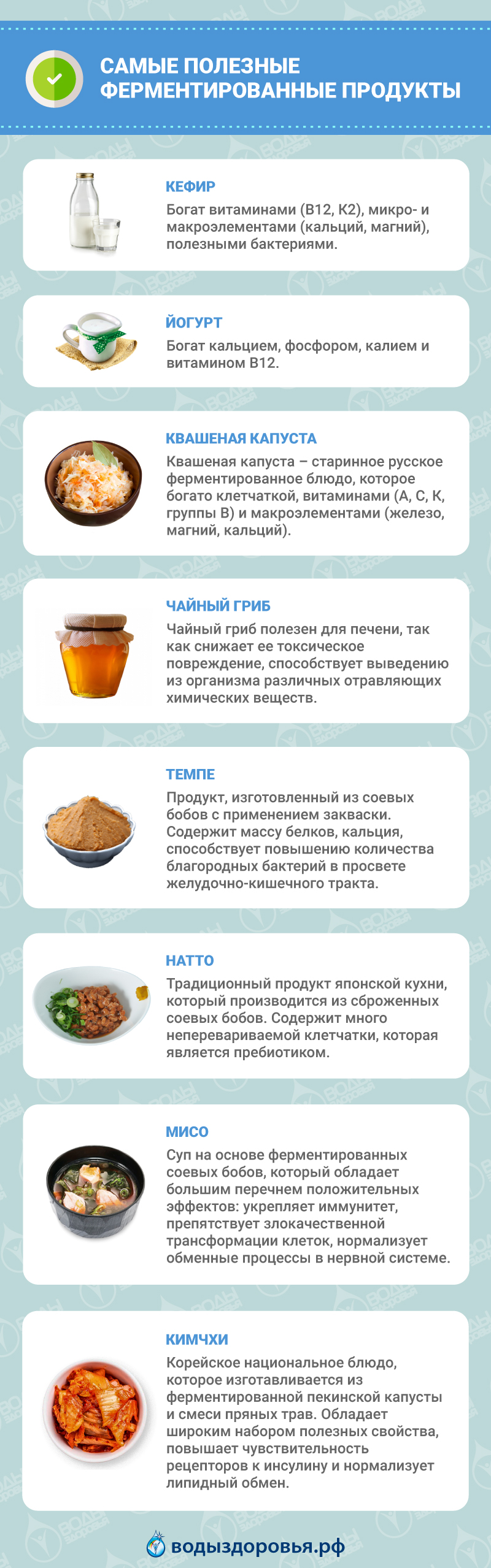 Самые полезные ферментированные продукты