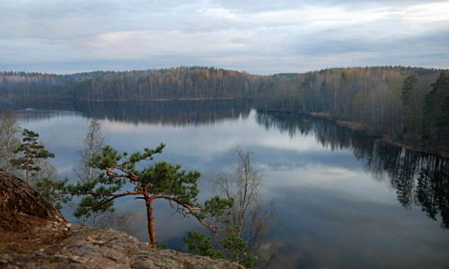 Кремниевая вода на страже здоровья