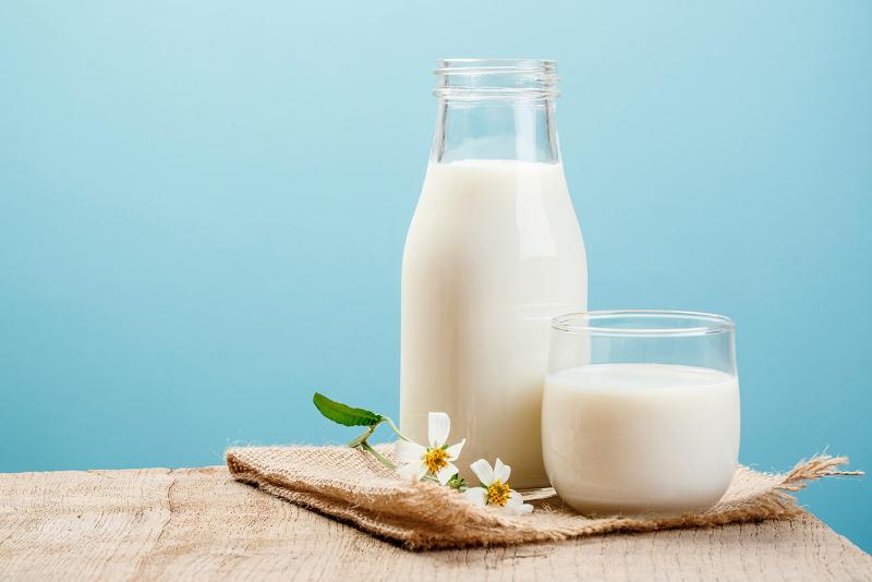 Полезно ли молоко и какое?