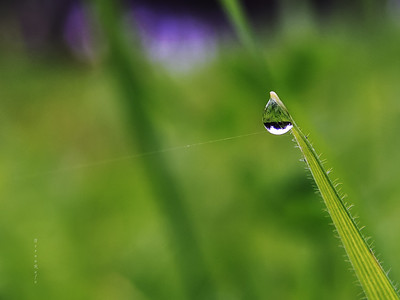 «SVETLA»-Вода для продления жизни!