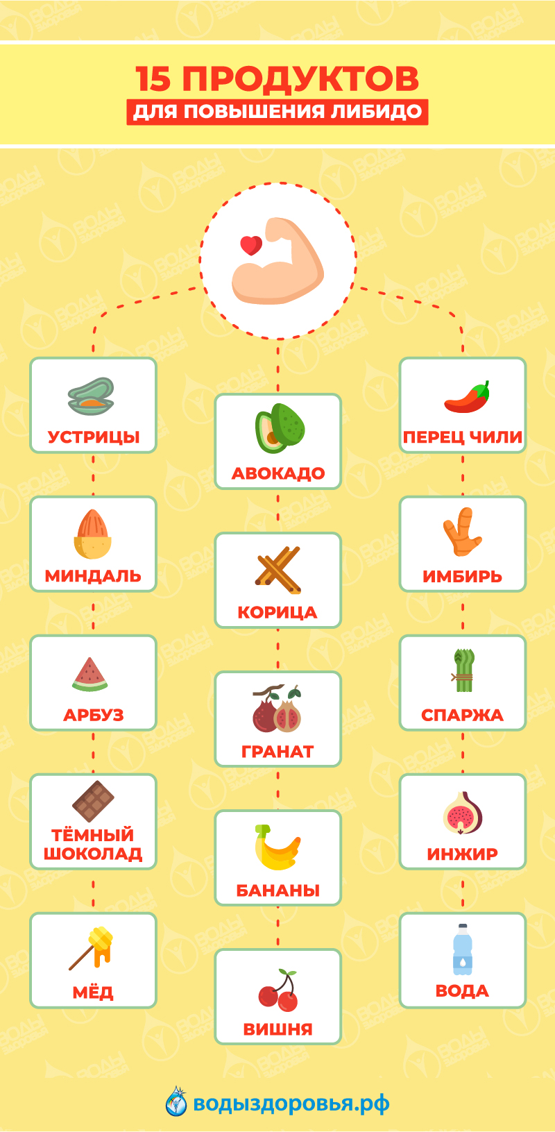 10 продуктов повышающих женское либидо по мнению эндокринолога
