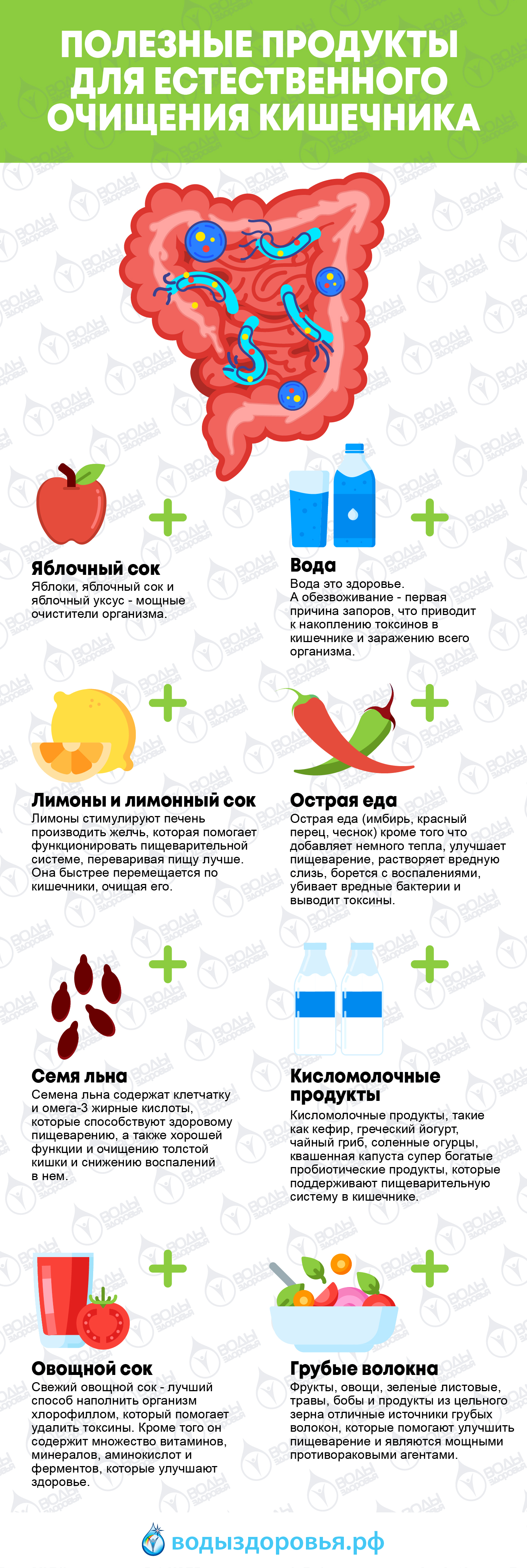 Чистый кишечник — секрет молодости организма Чистый кишечник — секрет молодости организма