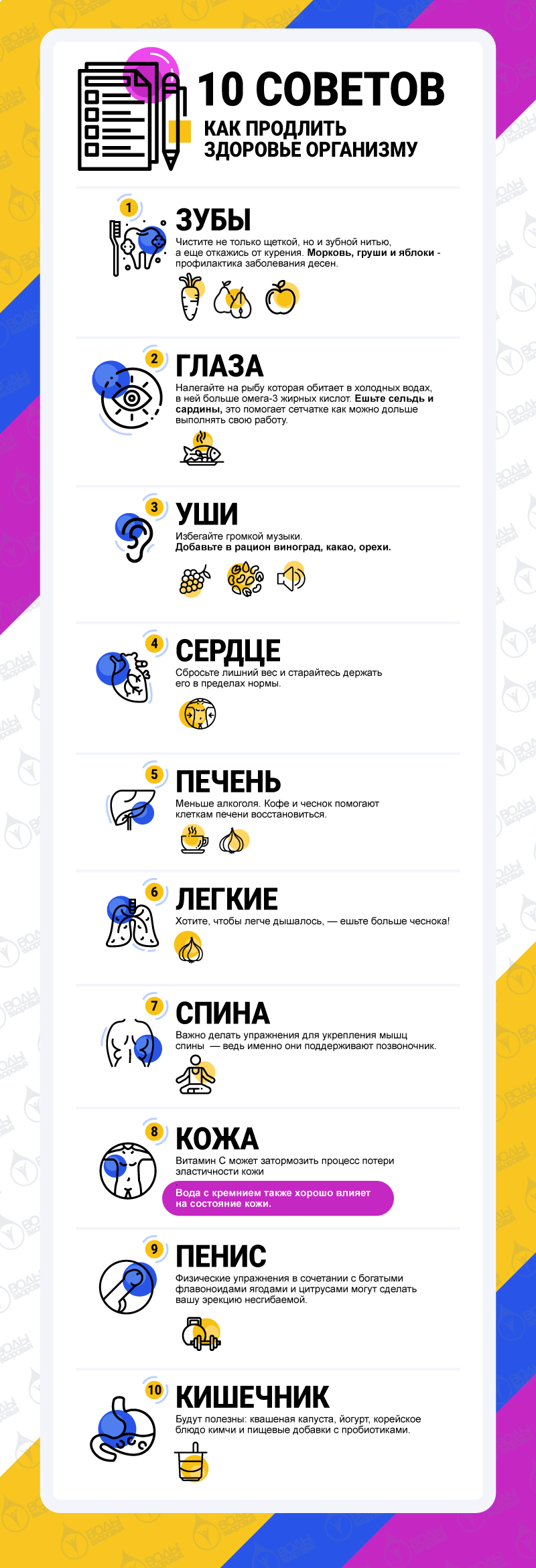 Как продлить здоровье вашему организму Как продлить здоровье вашему организму