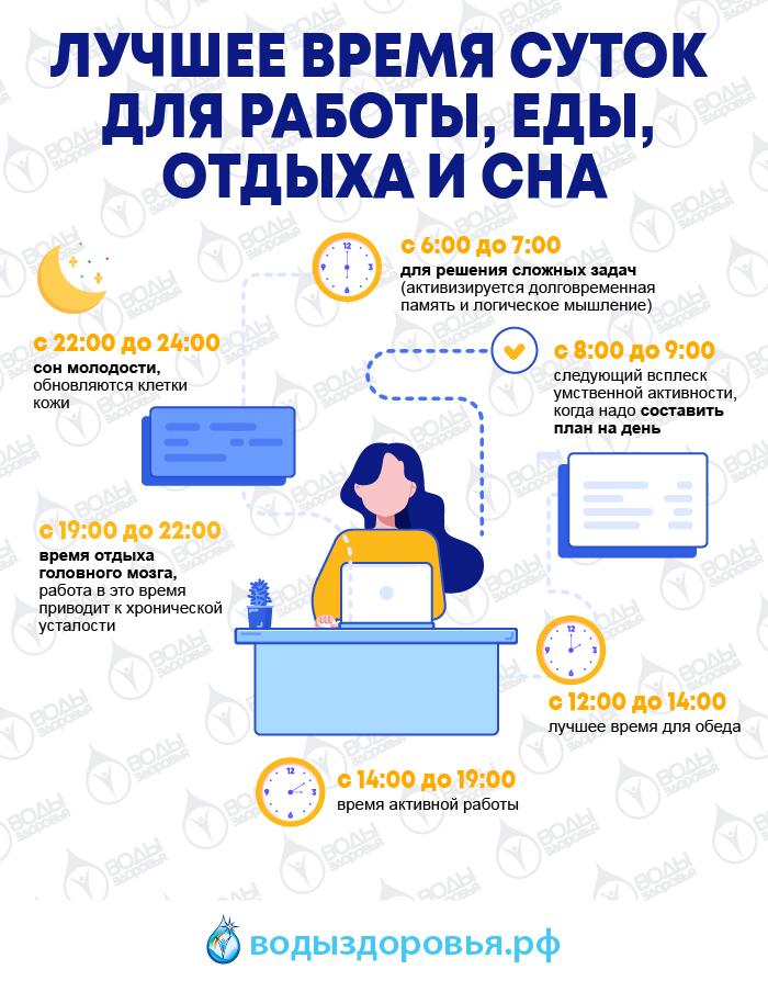 Лучшее время суток для работы, еды, отдыха и сна