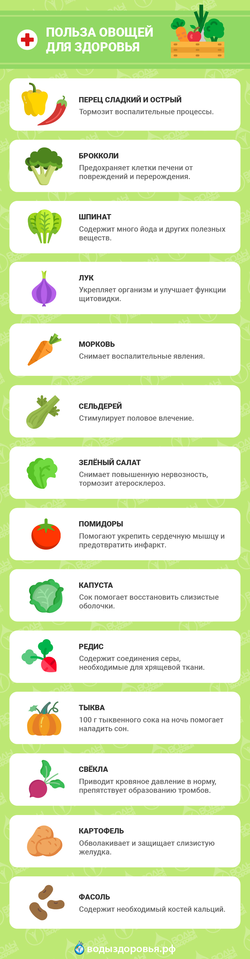 Польза овощей для здоровья