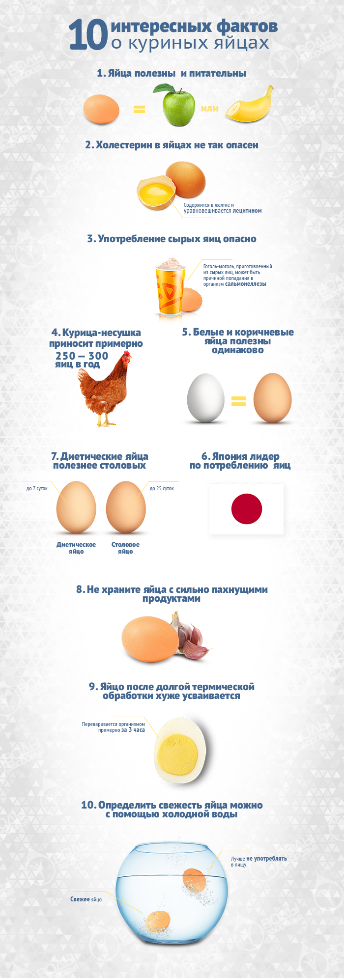 10 интересных фактов о куриных яйцах