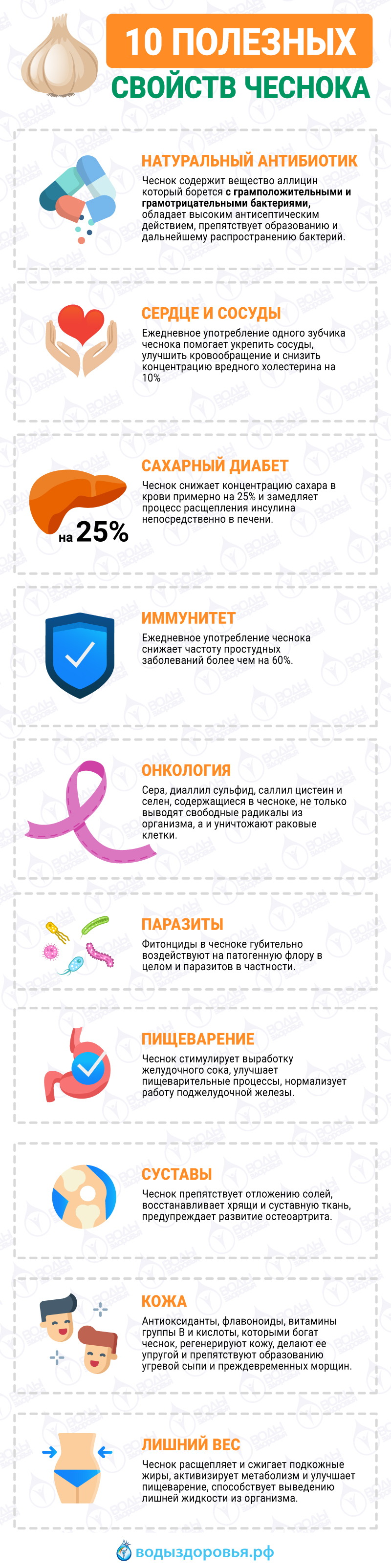 10 полезных свойств чеснока 10 полезных свойств чеснока