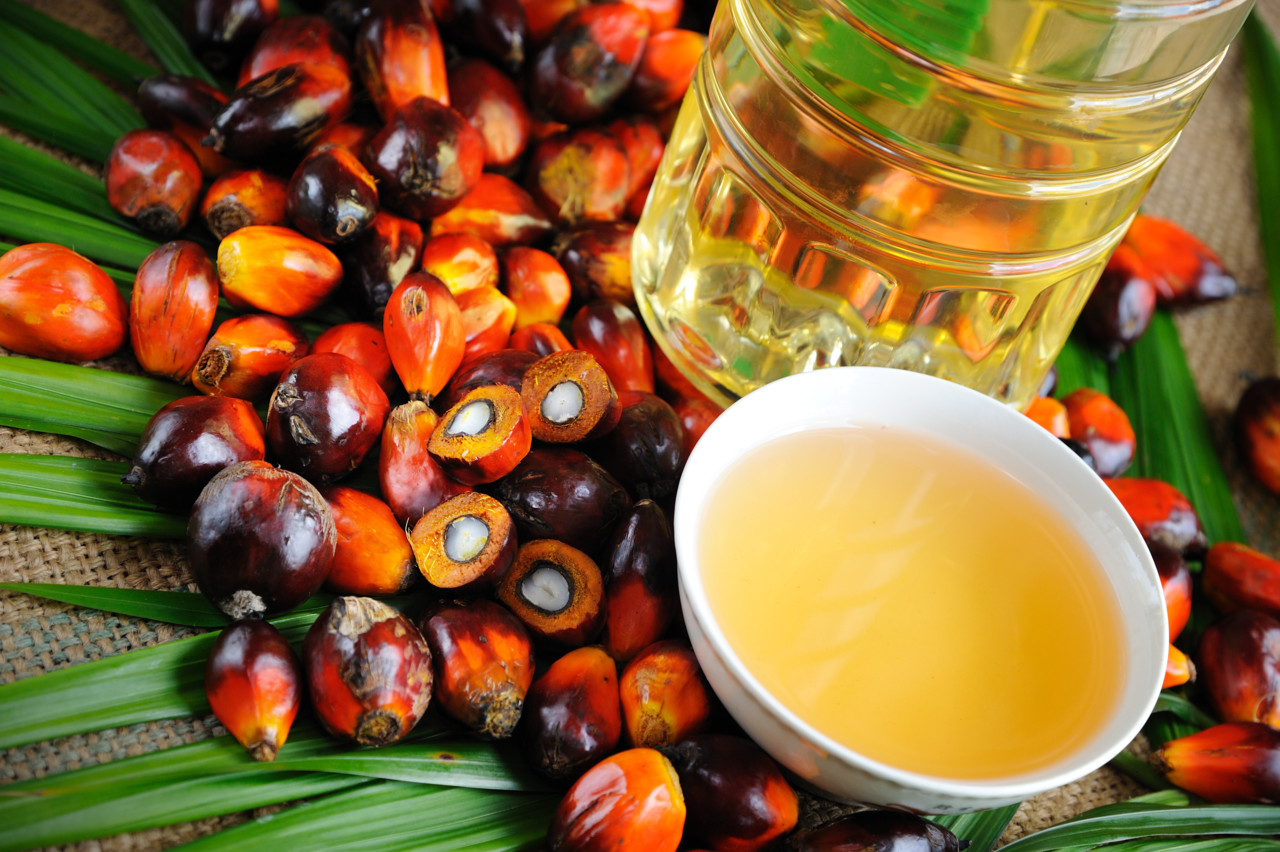 Почему вредно пальмовое масло. В каких продуктах содержится?