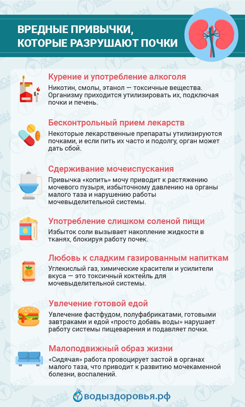 Вредные привычки, которые разрушают почки Вредные привычки, которые разрушают почки