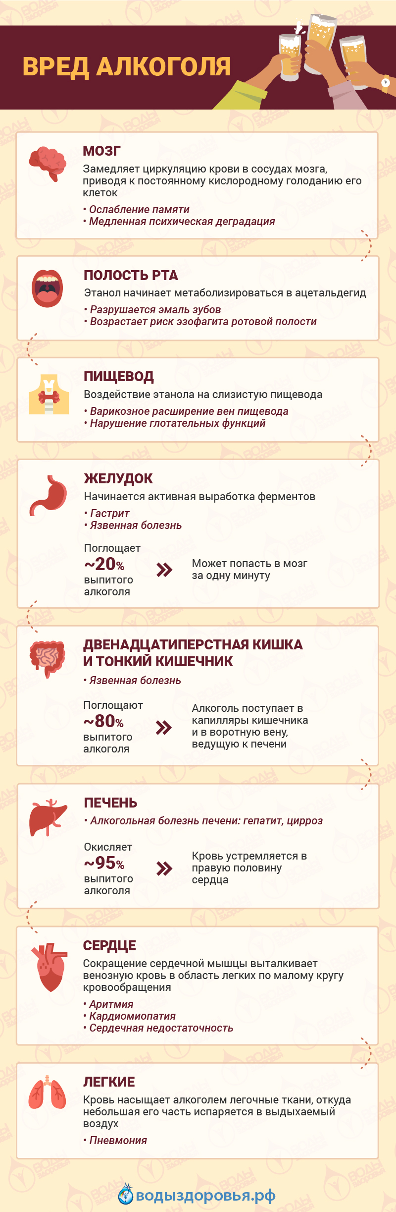 Алкоголь разрушает мозг даже спустя 45 дней после его приема
