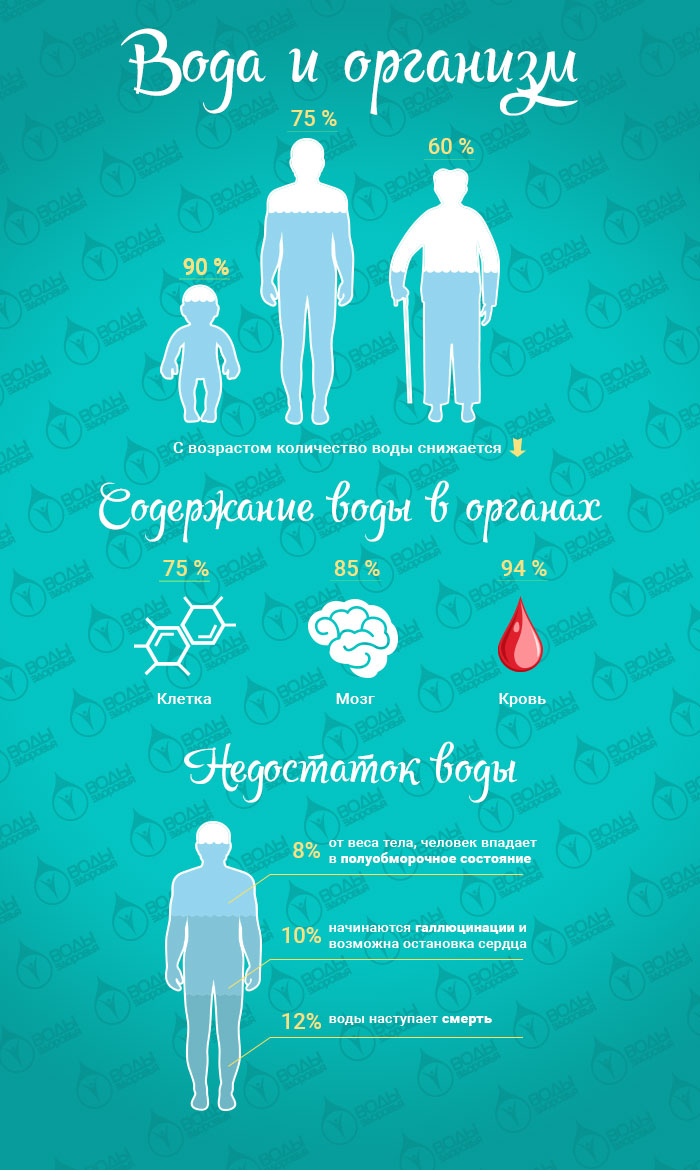 Вода и организм Вода и организм