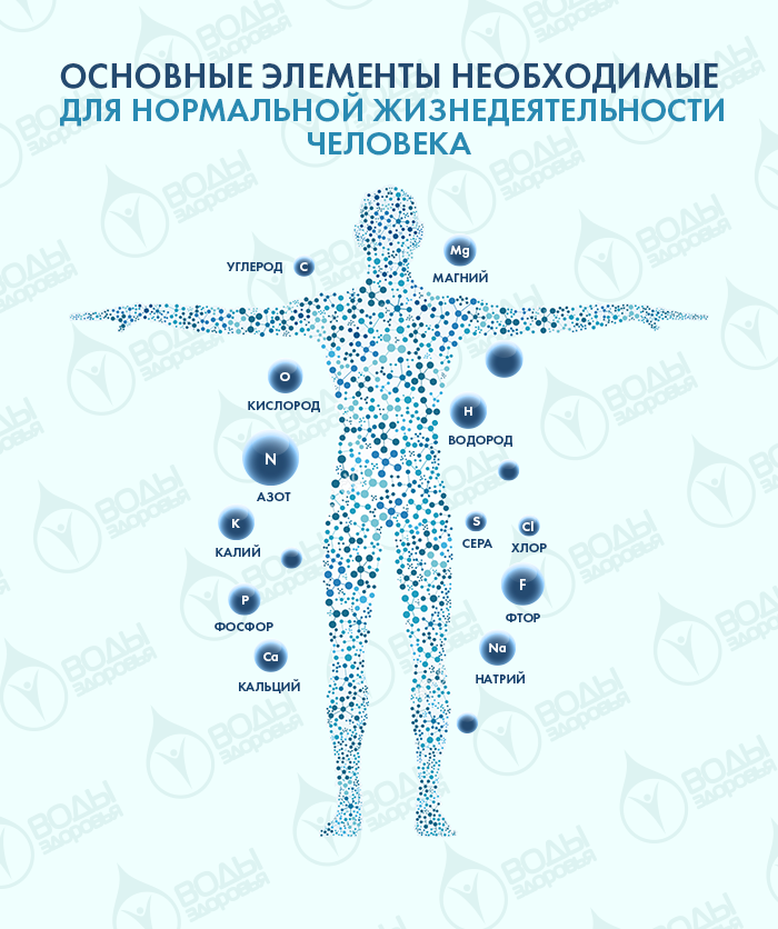 Реферат На Тему Химические Элементы В Организме Человека