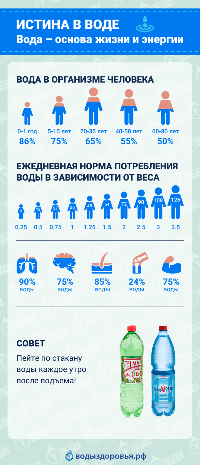 Вода - основа жизни и энергии Вода - основа жизни и энергии