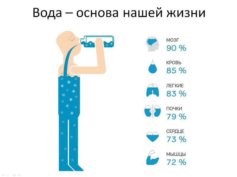 Роль воды в жизни человека Роль воды в жизни человека