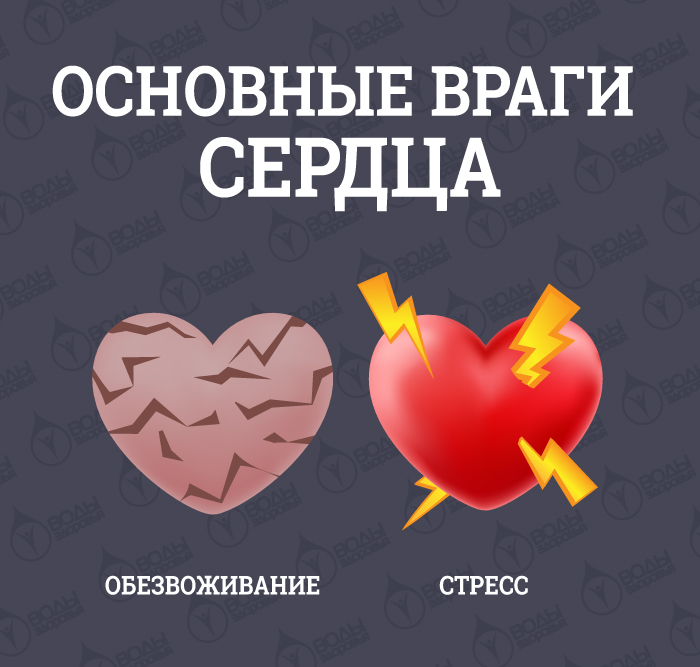 Как сохранить здоровье сердца? Как сохранить здоровье сердца?