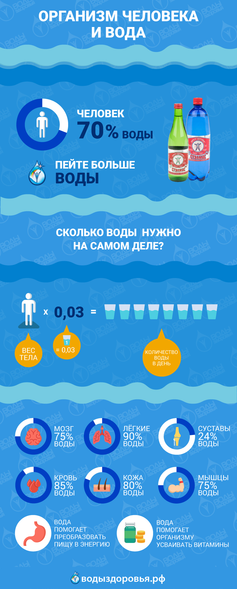 Организм человека и вода Организм человека и вода