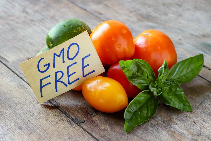 ГМО: вред или польза