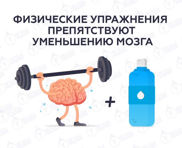 Физические упражнения препятствуют уменьшению мозга