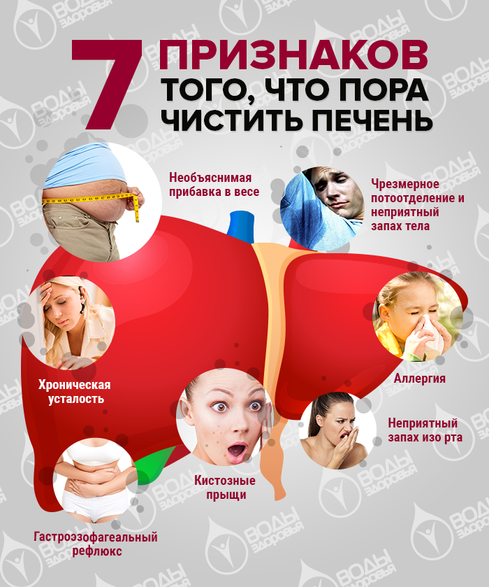 7 ПРИЗНАКОВ ТОГО, ЧТО ПОРА ЧИСТИТЬ ПЕЧЕНЬ 7 ПРИЗНАКОВ ТОГО, ЧТО ПОРА ЧИСТИТЬ ПЕЧЕНЬ