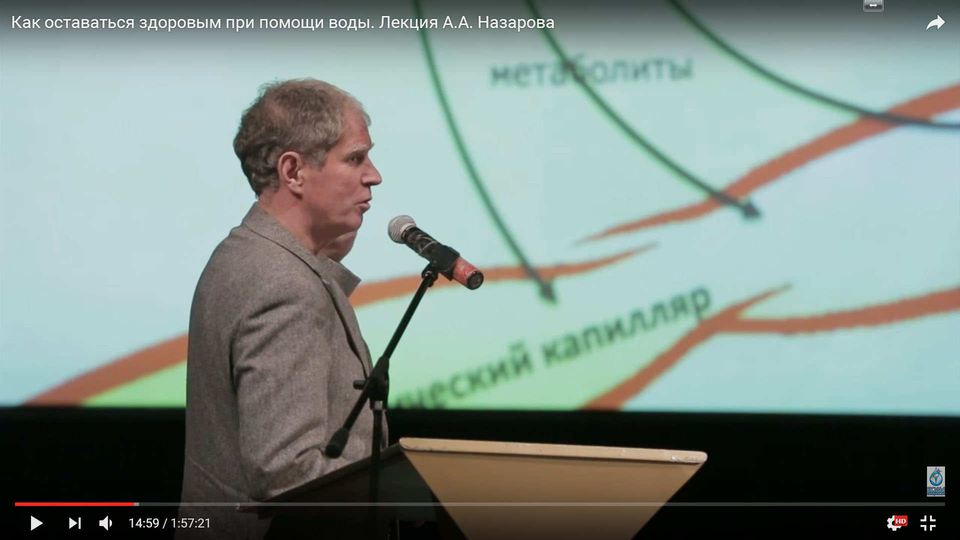 Как вода влияет на старение нашего организма? Как вода влияет на старение нашего организма?