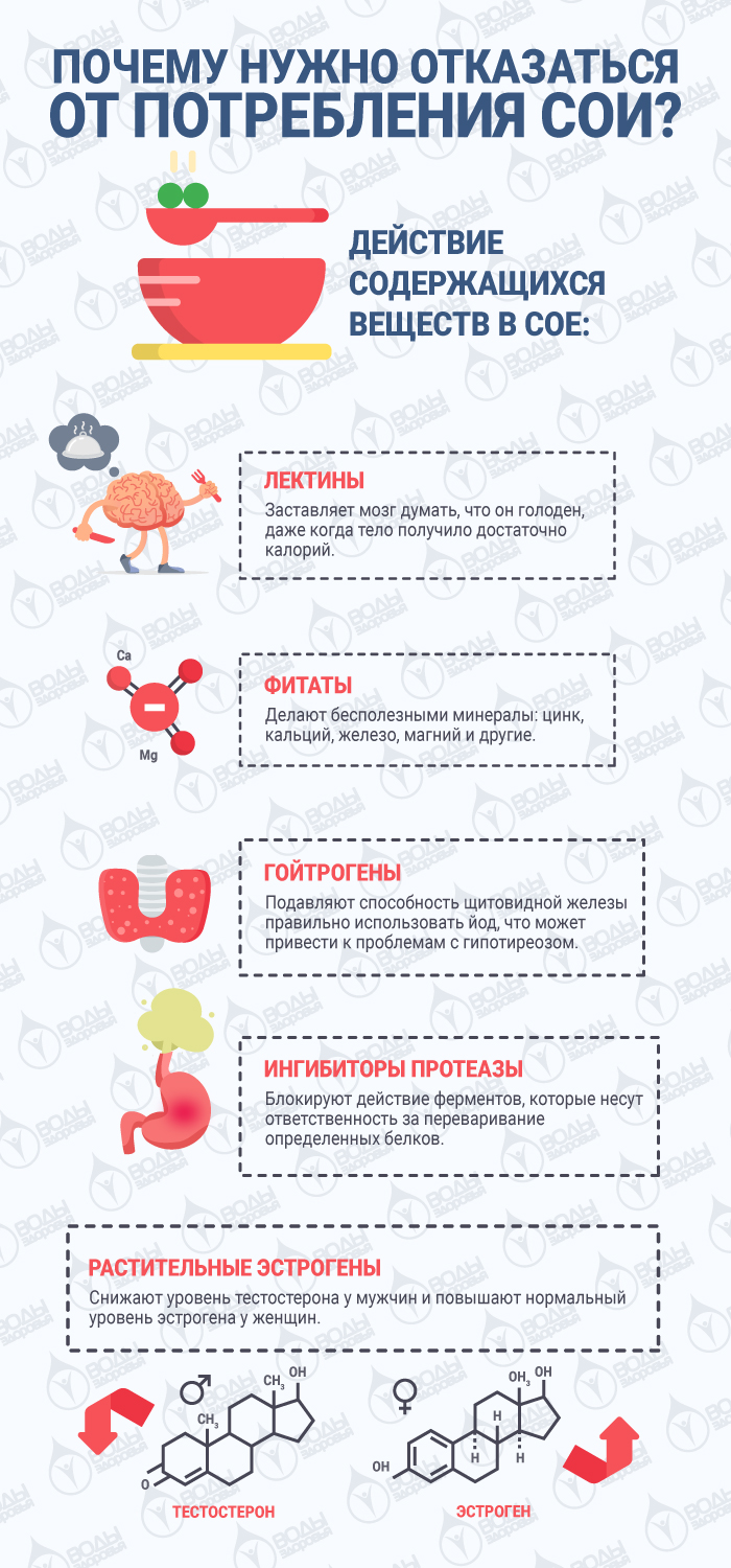 Почему нужно отказаться от потребления сои Почему нужно отказаться от потребления сои