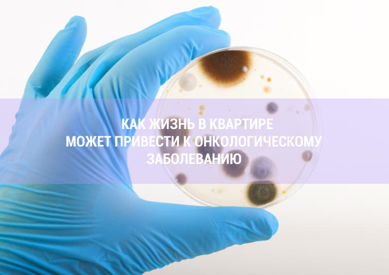 Как жизнь в квартире может привести к онкологическому заболеванию